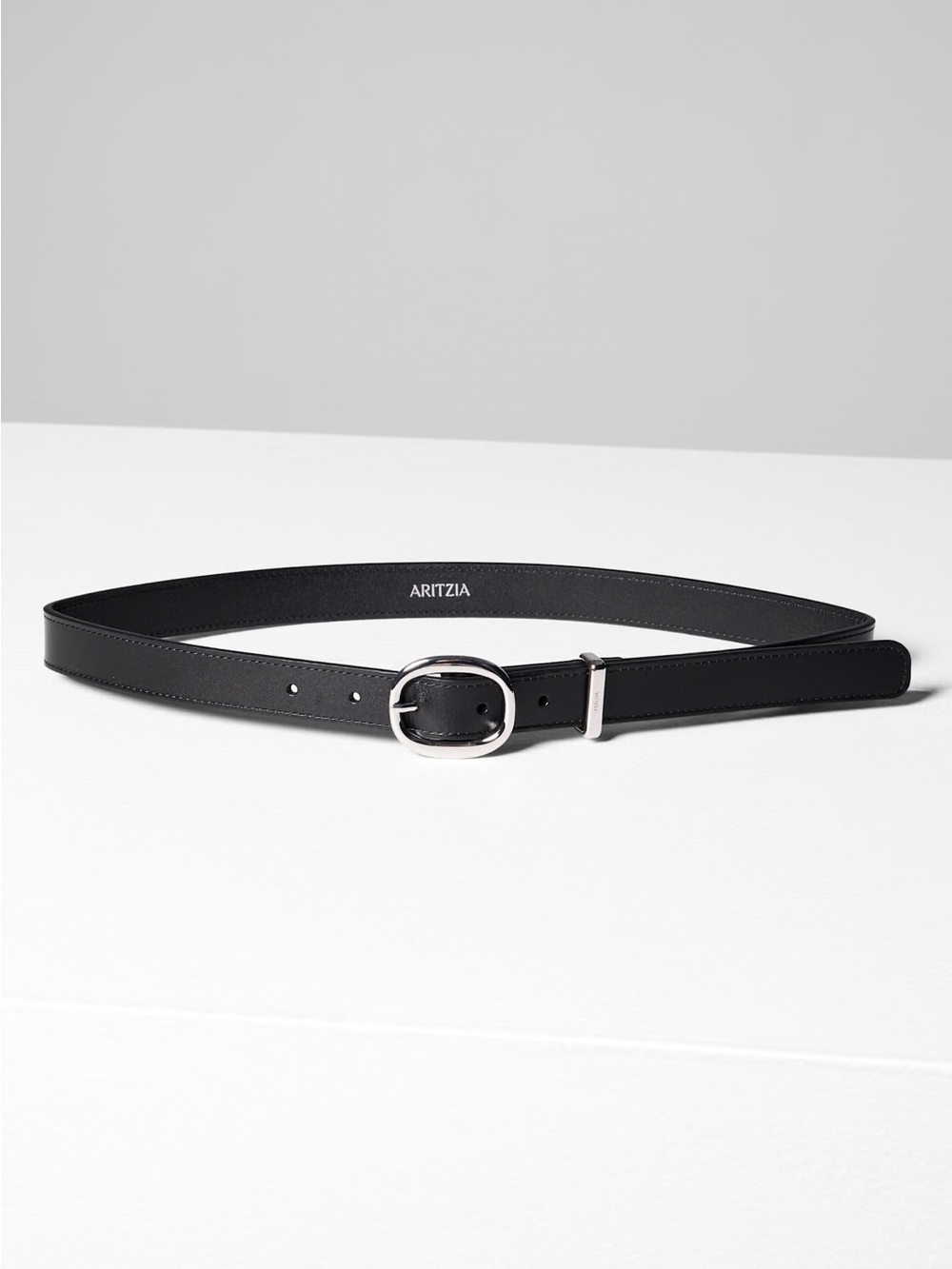 Aritzia Lifetime Solid Brass Leather Belt (Black/Silver)